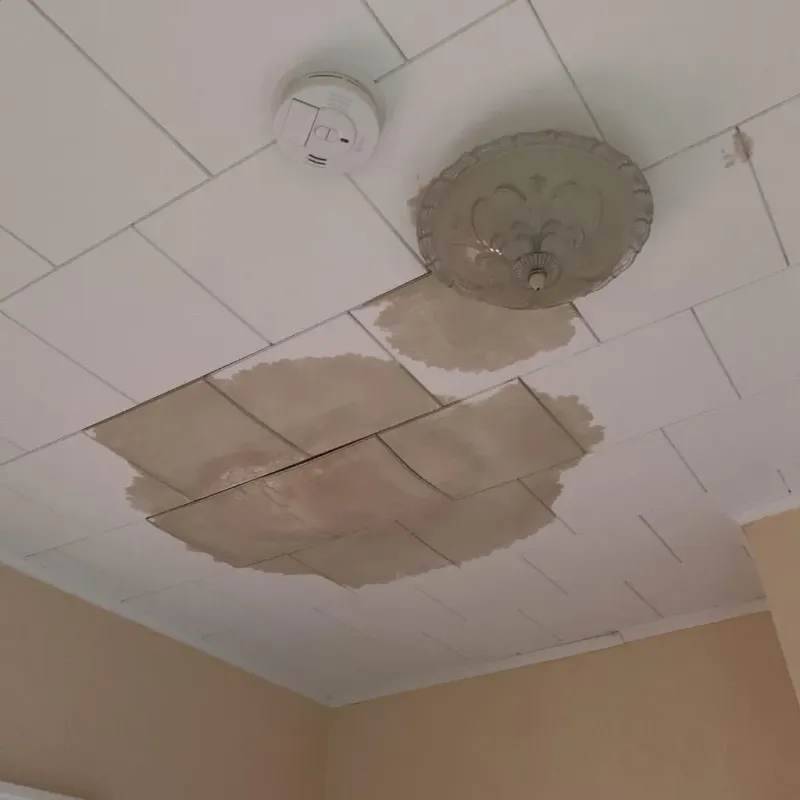 Ceiling Water Damage Repair in Whispering Pines, NC