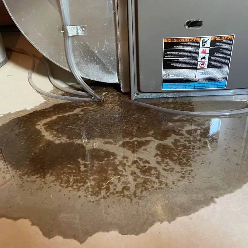 Pipe Burst and Leak Restoration in Whispering Pines, NC