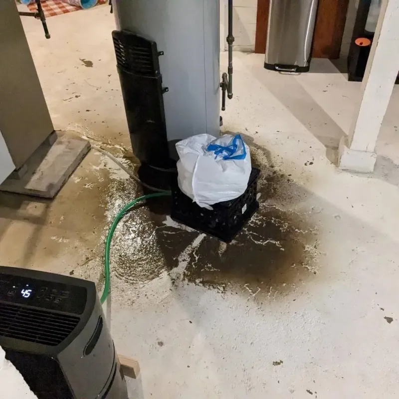 Sewage Backup Cleanup Service in Whispering Pines, NC